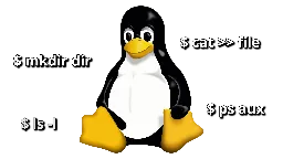 Basic Linux Commands